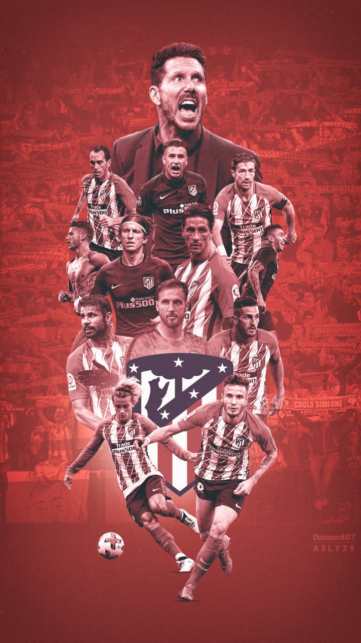 案例分析 案例分析